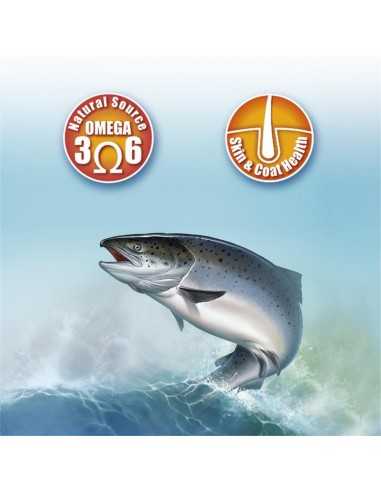 ACEITE DE SALMON 250ml. Arquivet