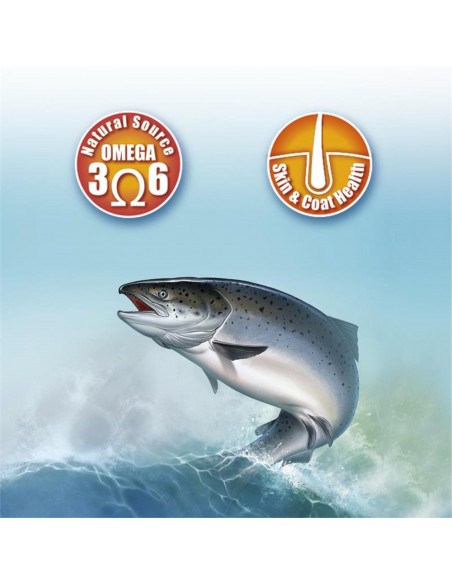 ACEITE DE SALMON 250ml. Arquivet