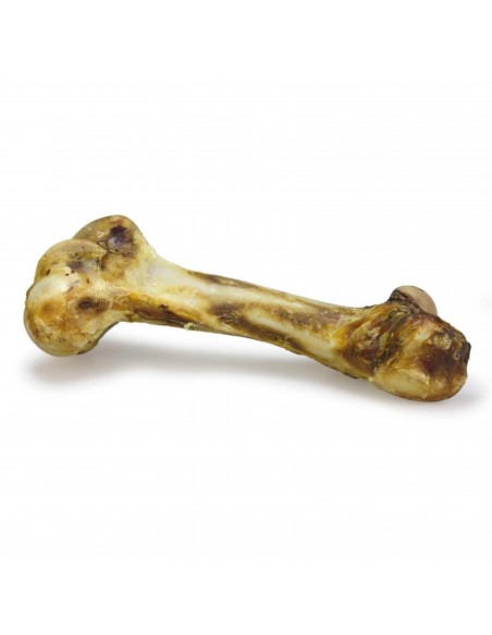 HUESO DE BUEY Mamut