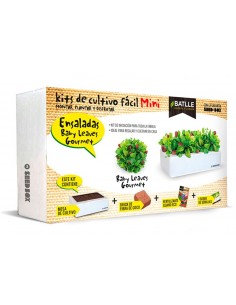 SEED BOX MINI ENSALADAS
