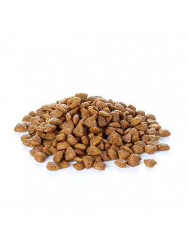 BANTERS DOG ADULT LARGE BREED 15 KG.