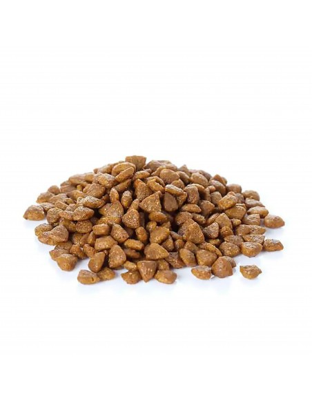 BANTERS DOG ADULT LARGE BREED 15 KG. BANTERS DOG ADULT LARGE BREED 15 KG.