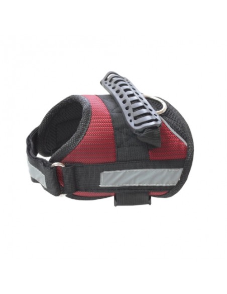ARNES SPORT JACKET Talla P. ROJO