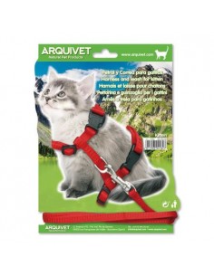 PETRAL + TIRADOR GATITOS 35/44cms.