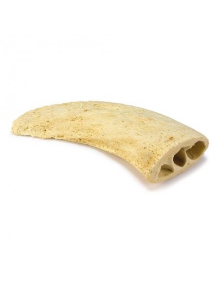 Núcleo de cuerno (Bolsa 1 unidad)