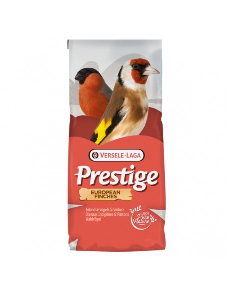 JILGUEROS Blattner Goldfinch 15 KG. Prestige