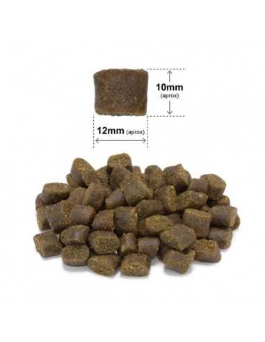 Arquivet Fresh Ocean Fish - 10 Kg.