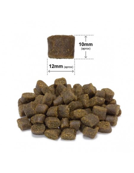 Arquivet Fresh Ocean Fish - 10 Kg.