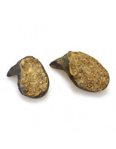 Pezuña de Búfalo rellena de Higado.Envase individual