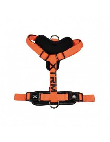 ARNES X-TRM Cronos Neon Flash. Negro